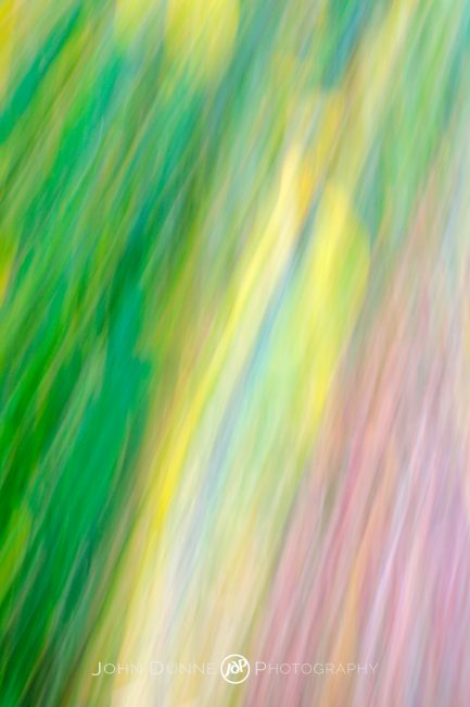 Autumnal Abstract #03 by John Dunne.