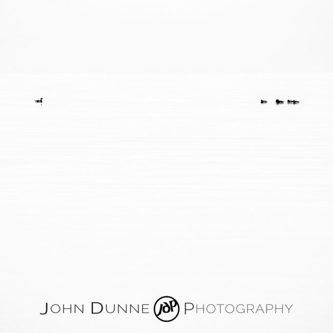 Ducks Upon the Sea Ducks Upon the Sea by John Dunne.