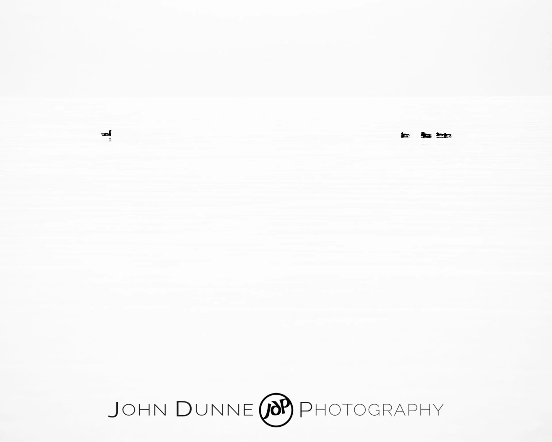 Ducks Upon the Sea by John Dunne. 