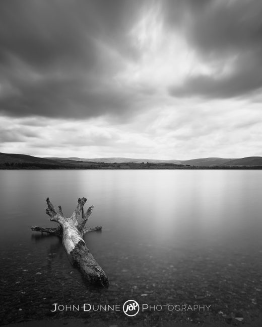 Forgotten Forgotten by John Dunne.