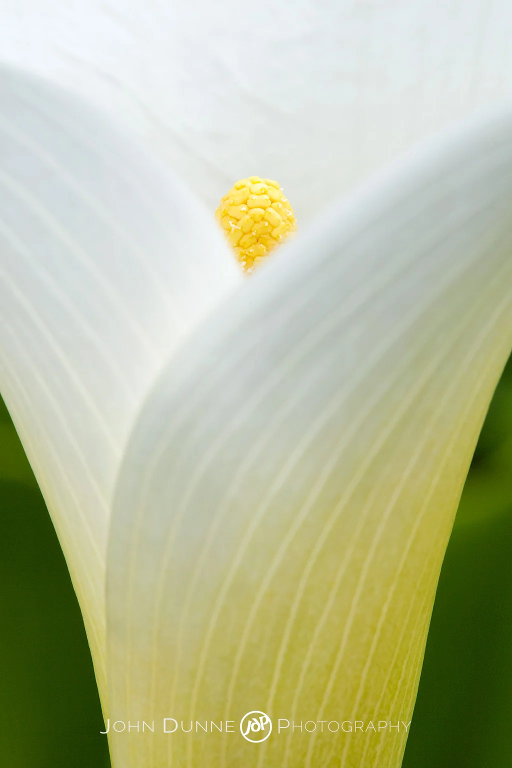 Hidden from Sight by John Dunne. 