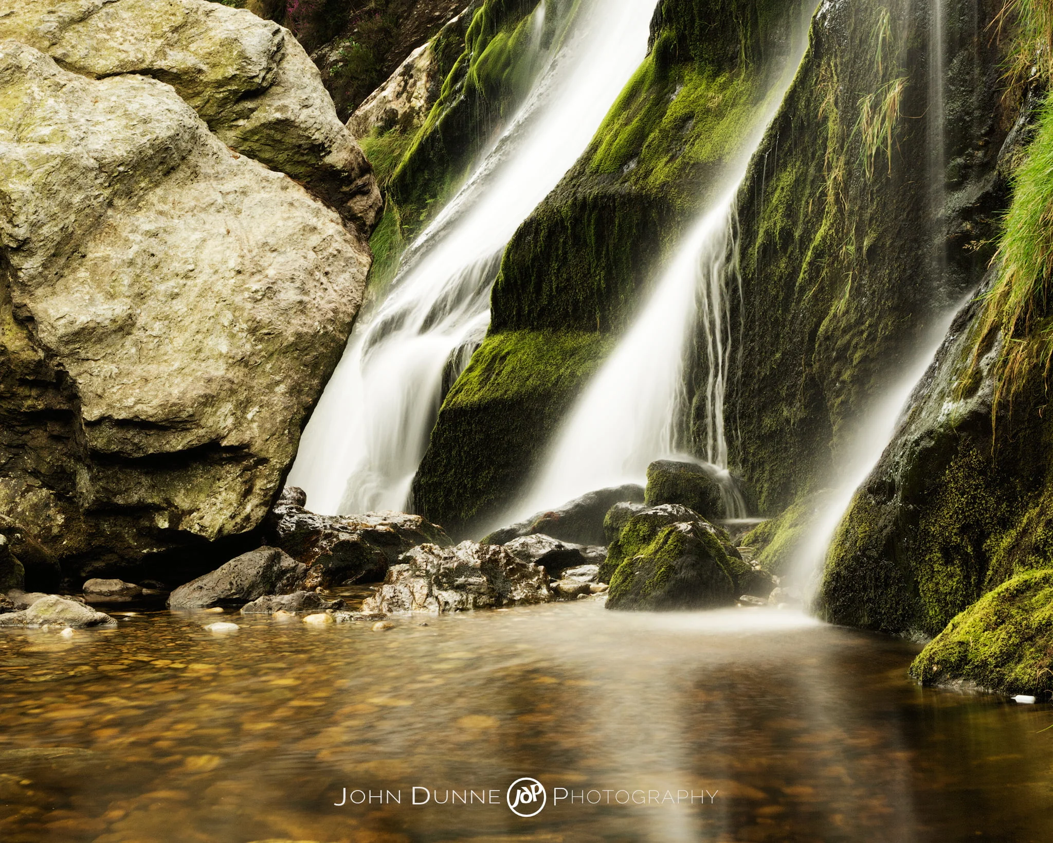 Lush by John Dunne 2008. 