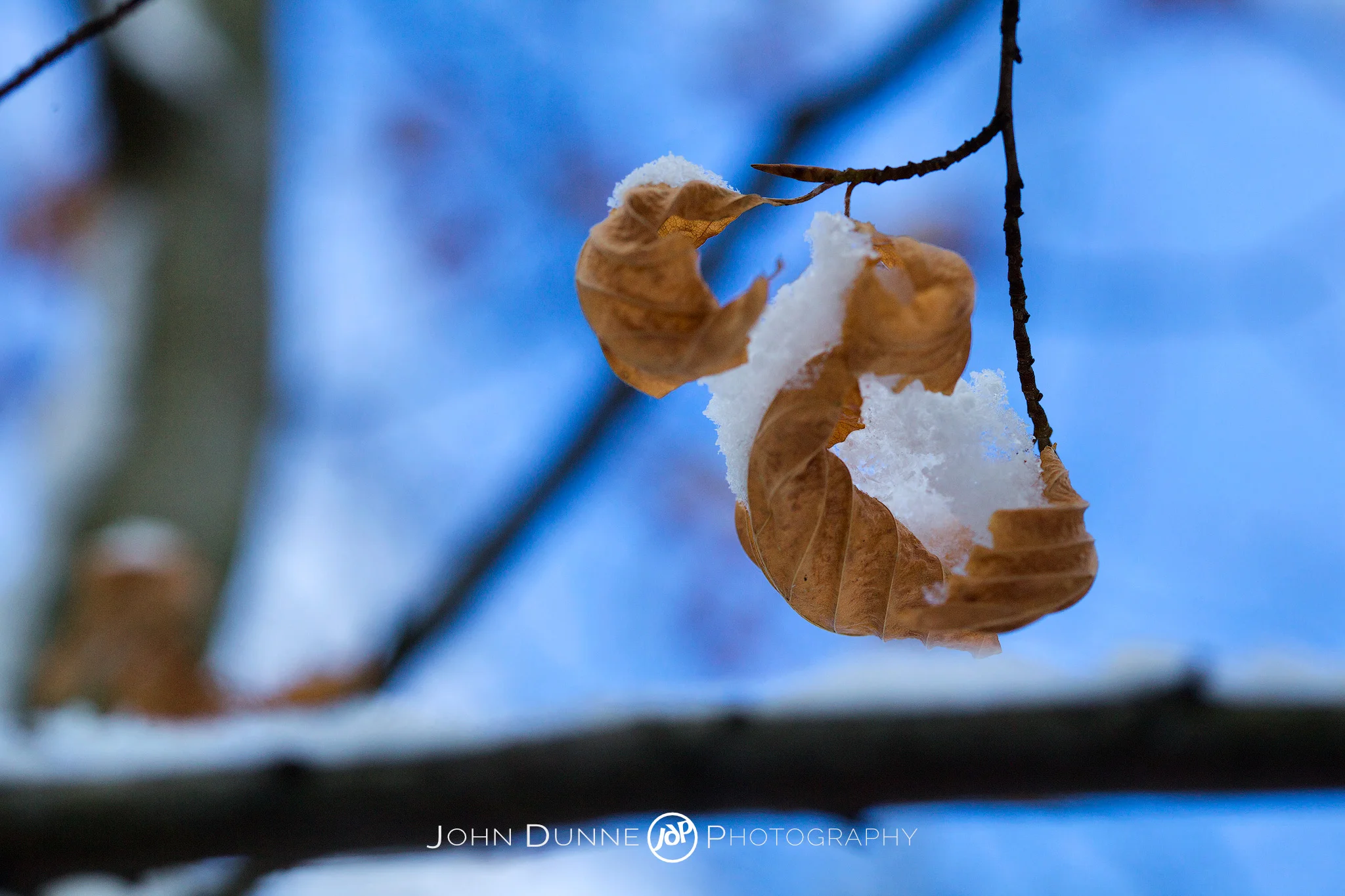 Memories of Winter Past by © John Dunne 2010, all rights reserved.