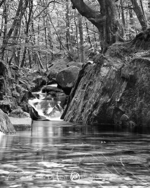 Peace and Solitude by John Dunne.