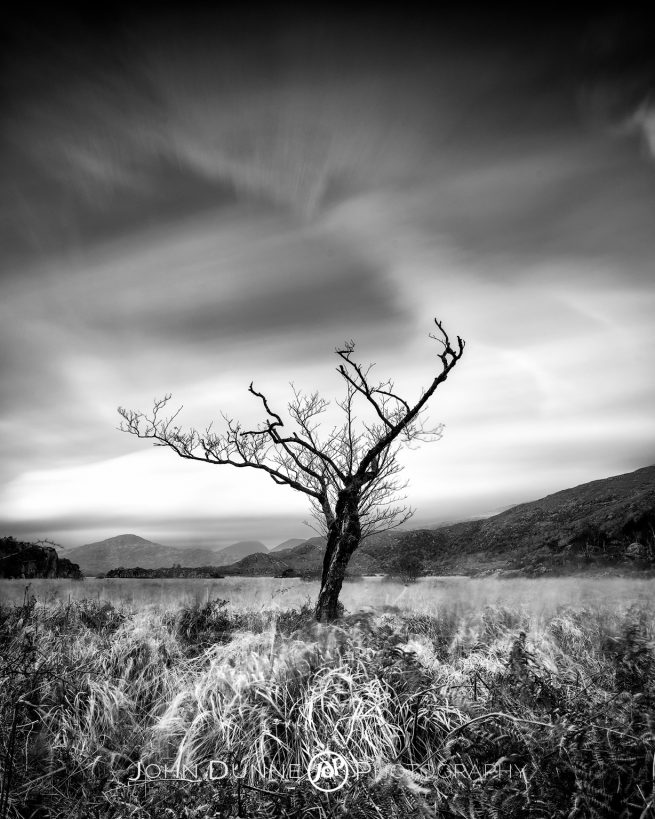 Resilience by © John Dunne 2015, all rights reserved. 