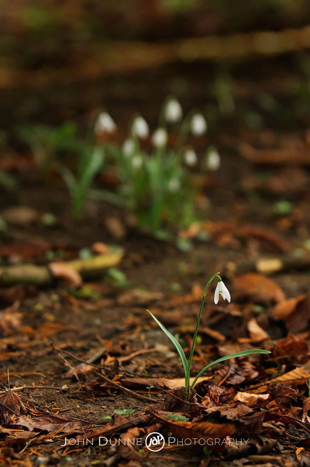 Standing Apart by John Dunne 2009. 