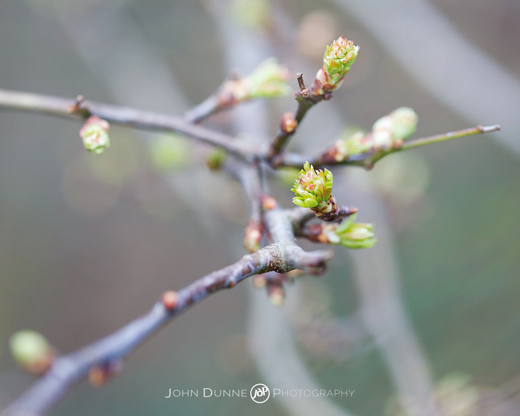 Winter is Over by John Dunne. 