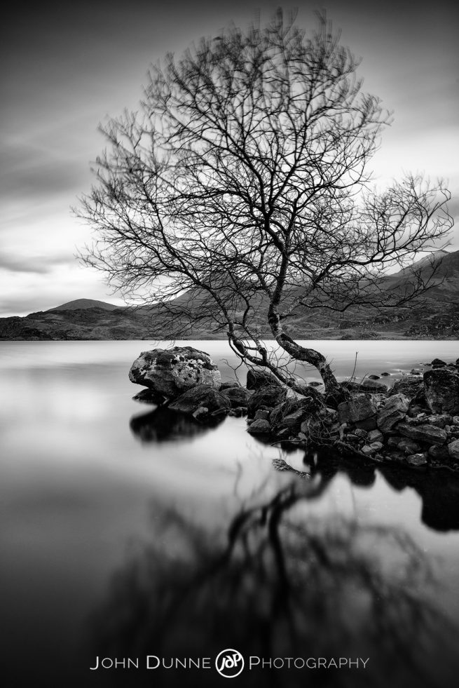 A Lone Tree on Lough Acoose #1 by © John Dunne 2016, all rights reserved. 